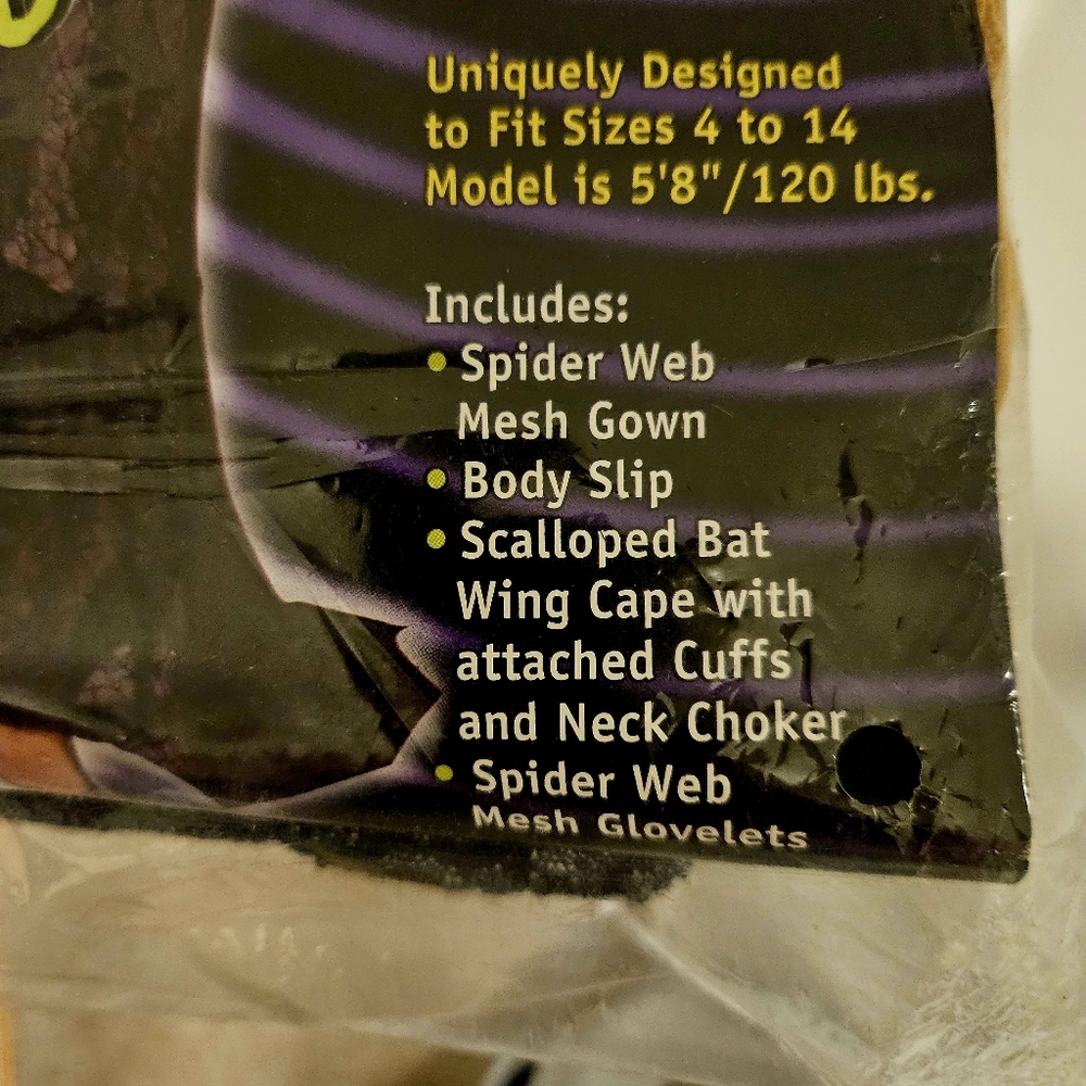 SEDUCTRESS OF THE WEB Adult Costume, Gothic Black, Lacy & Super Sexy! Sz… - Picture 10 of 10